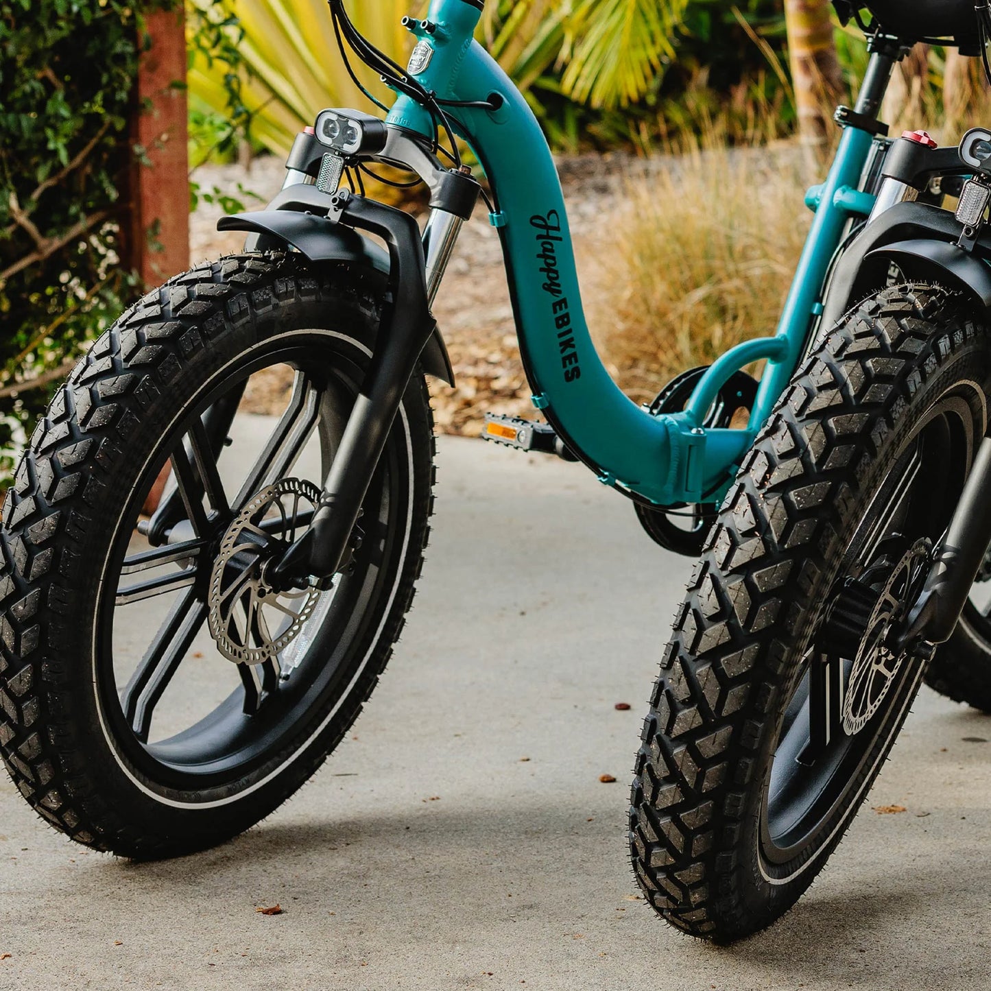 ALLSCAPE 20X4 Fat Tire for E-Bikes, Includes 2 Tires