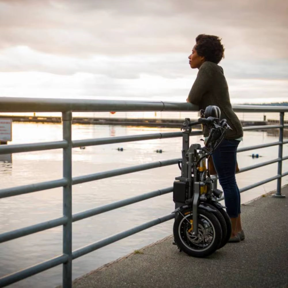 14Inch Electric Three-Wheeled Bicycle 48V Lithium Battery Long Battery Life Double Battery Fold Ebike