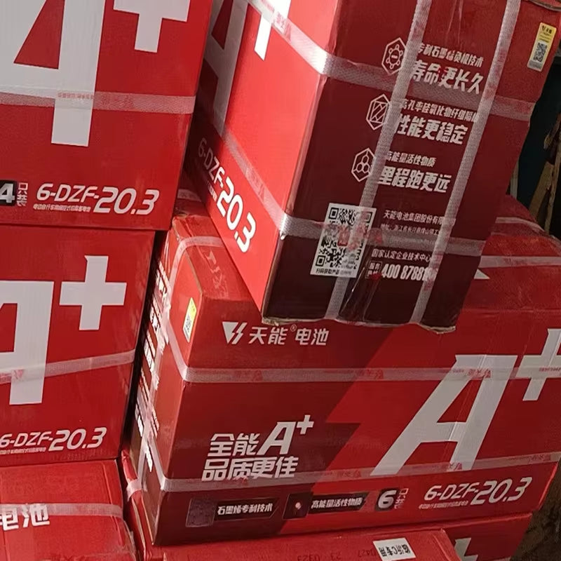 Lead-Acid Battery 12V20A Electric Vehicle Battery 6-DZM-20 Natural Energy Battery, Lead-Acid Battery Electric