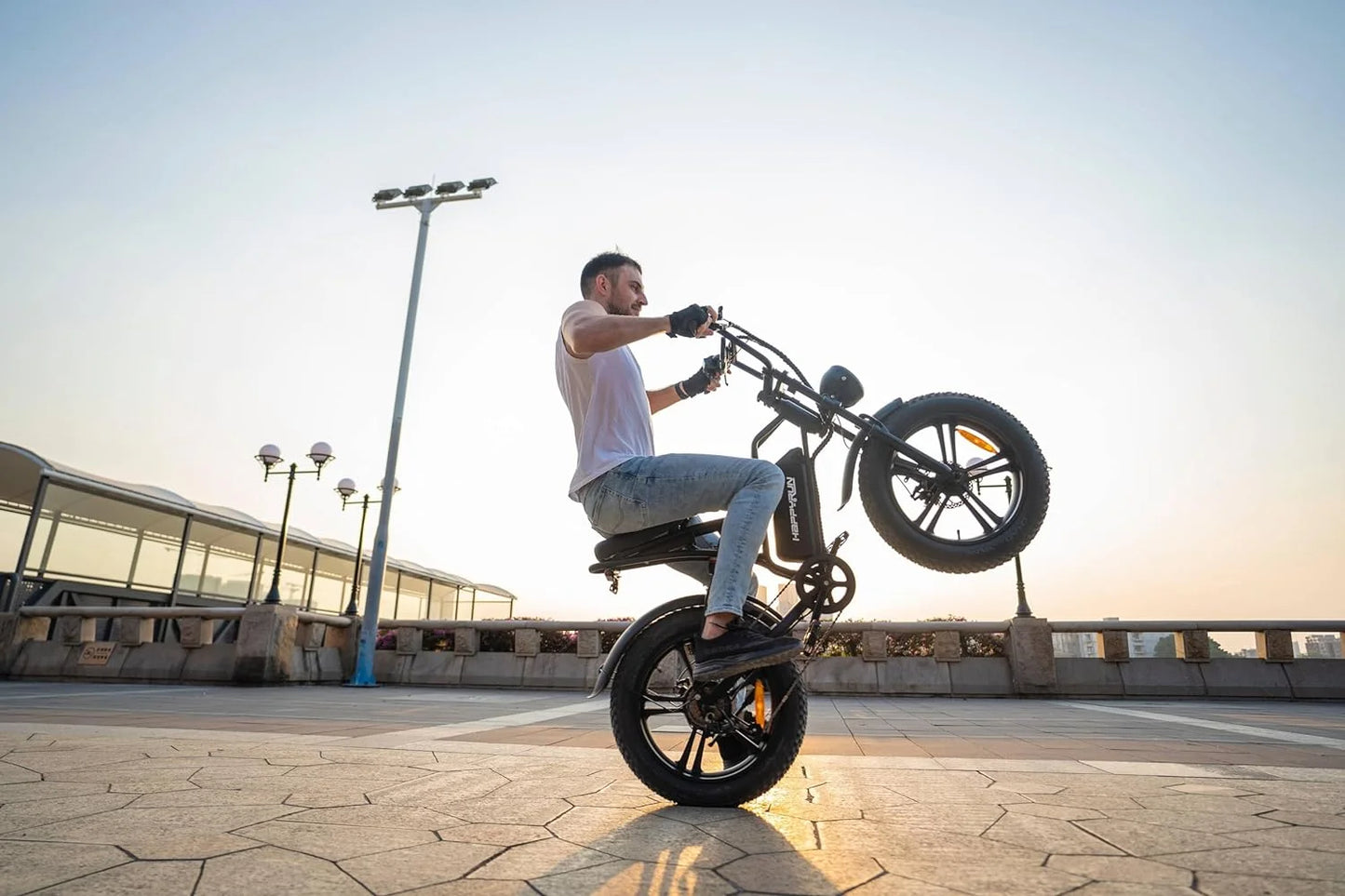 750W Moped Style Electric Bike | Adult Ebikes - 48V 18Ah Battery | 60+ Mile Range (G50*2)