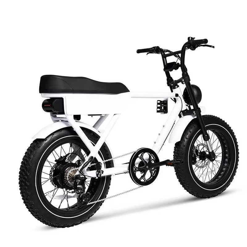 Hot Sell ATV08 Cheap Large Fat Tires E-Bikes 7 Speed Fat Bike 750W 48V 16Ah New Electric Ebike