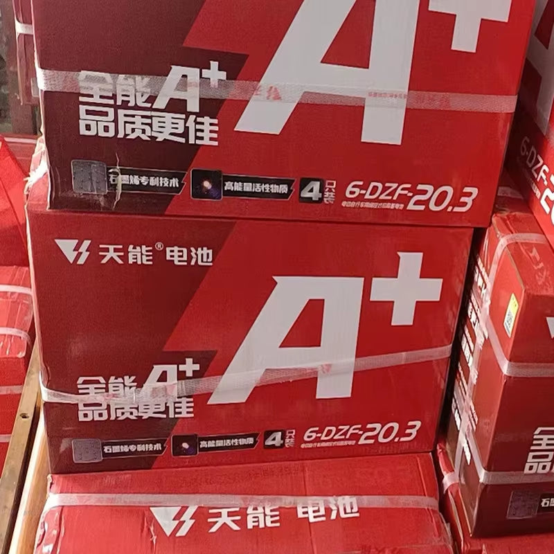 Lead-Acid Battery 12V20A Electric Vehicle Battery 6-DZM-20 Natural Energy Battery, Lead-Acid Battery Electric